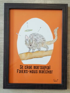 4 chat marsupial