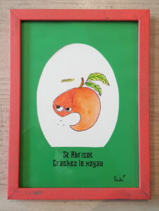 7 abricot crachez le noyau