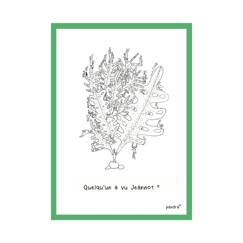 Carte Quelqu'un a vu Jeannot ?