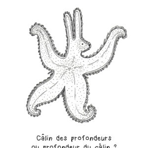 Cartes Lapins