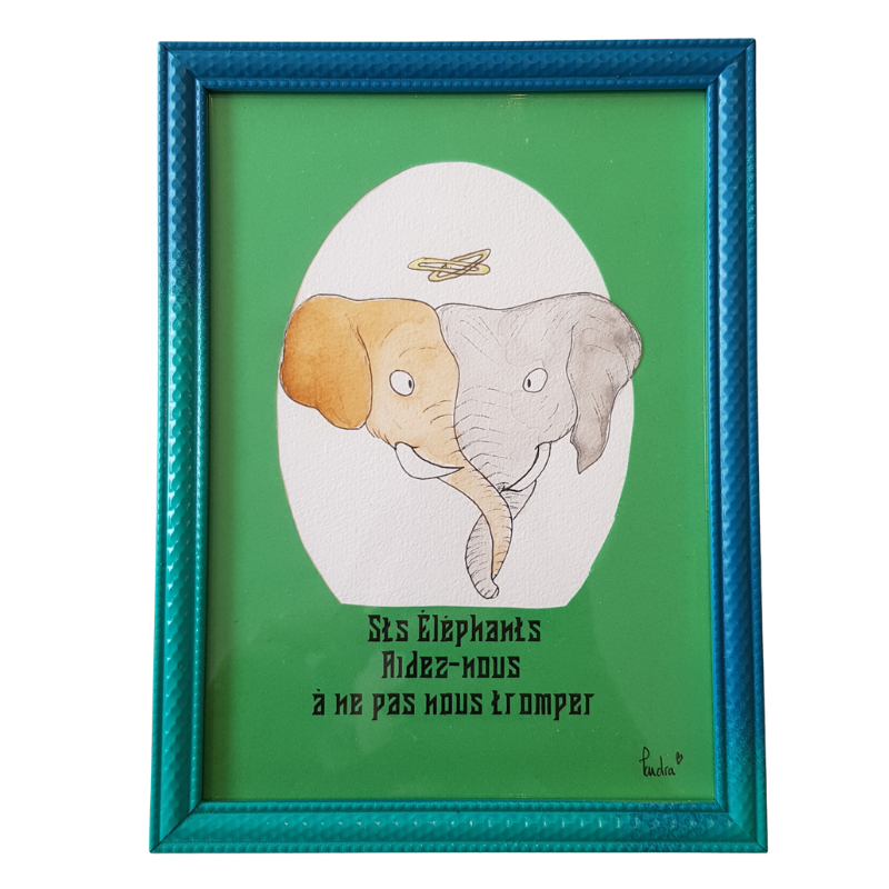 Sts Elephants : Aidez-nous à ne pas nous tromper