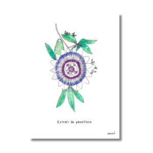 Carte Extrait de passiflore