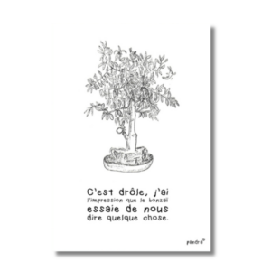 Carte Bonzaï parlant