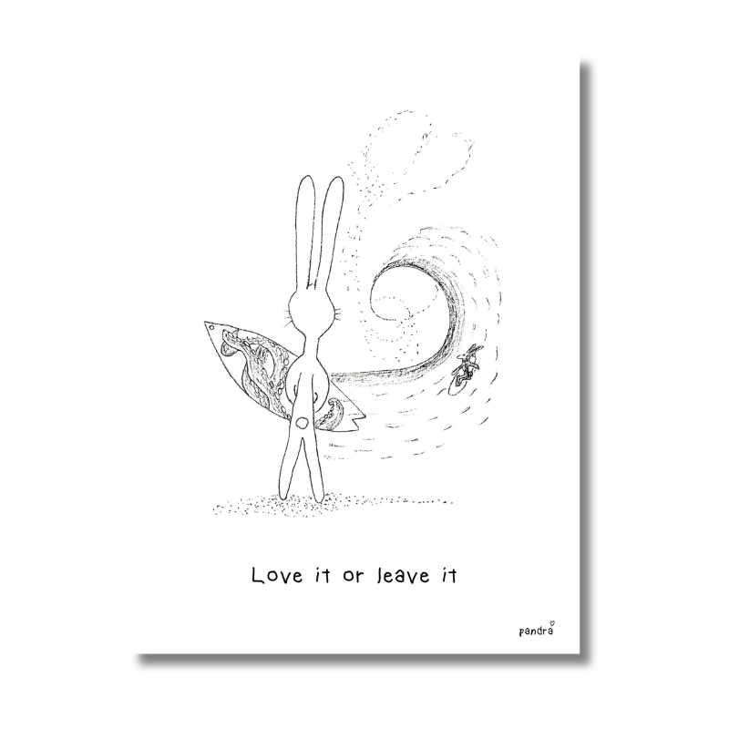 Carte Surf, love it or leave it