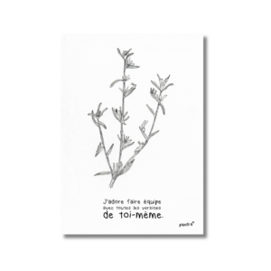 Carte Faire équipe
