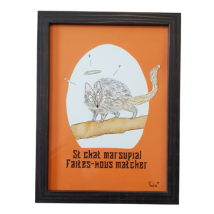 St Chat Marsupial : Faites-nous matcher