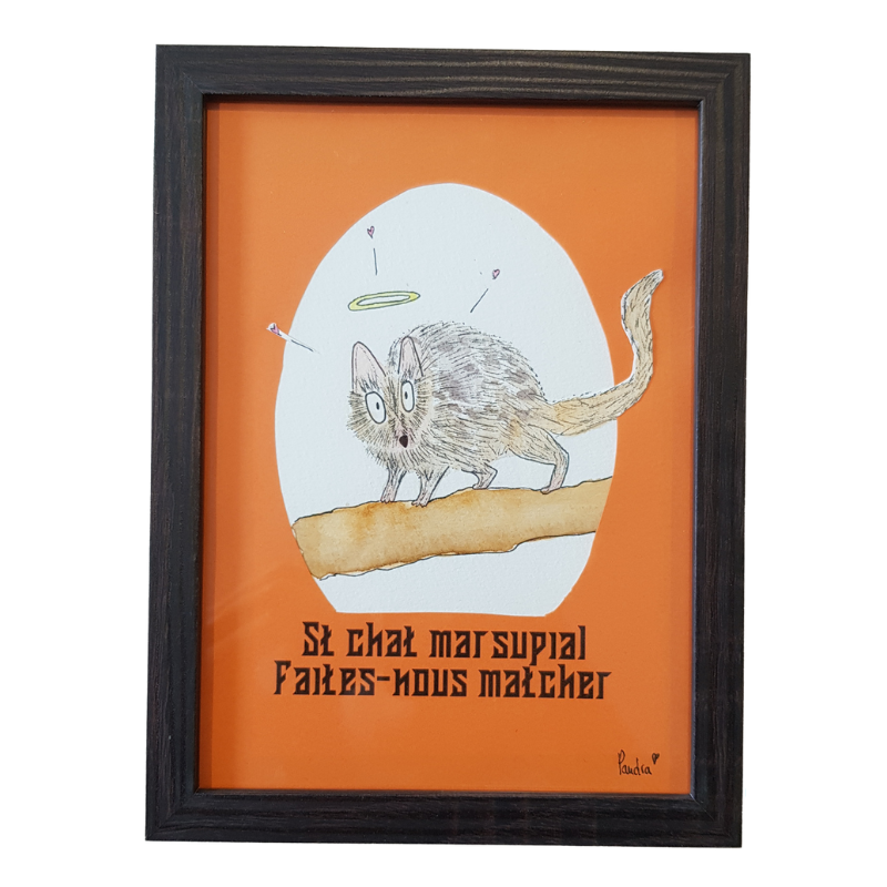 St Chat Marsupial : Faites-nous matcher