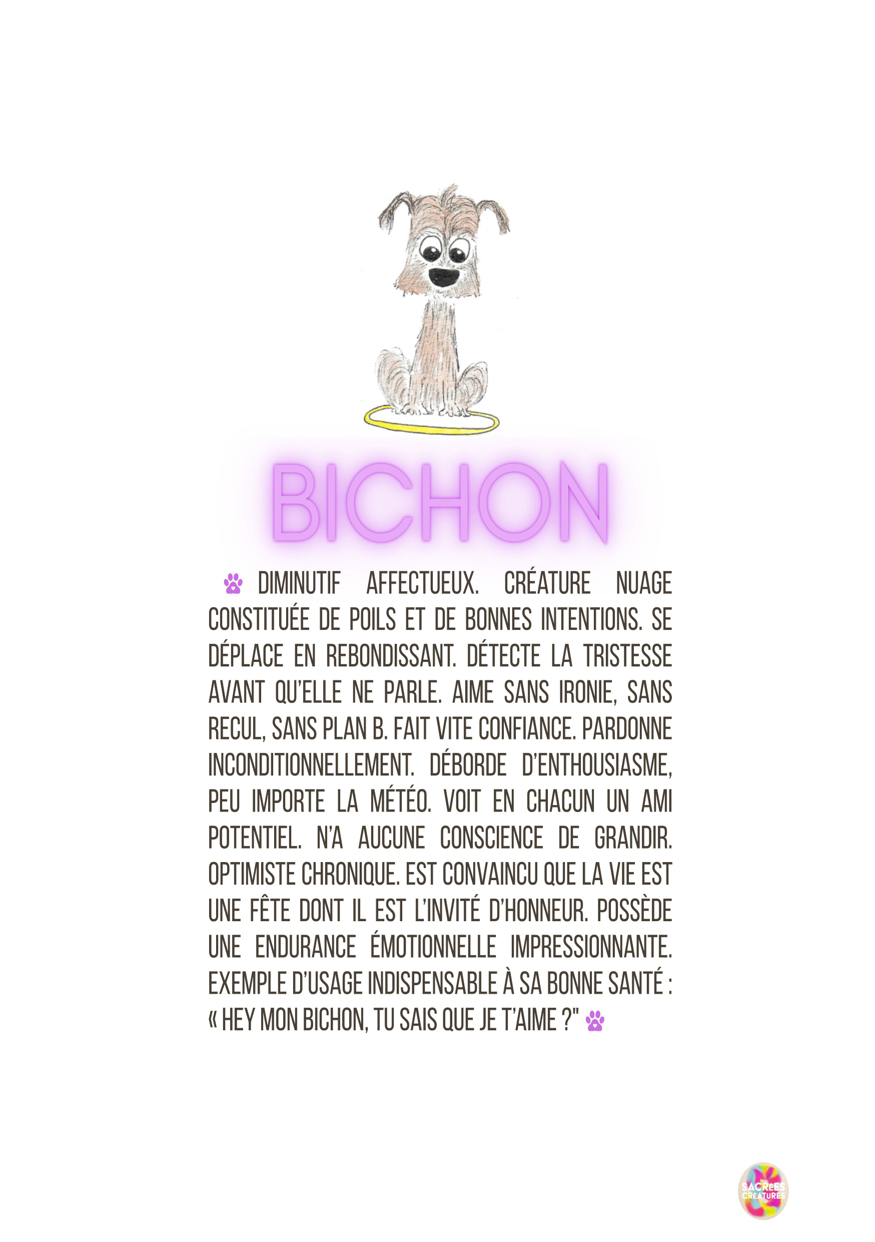 Bichon