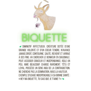 Biquette