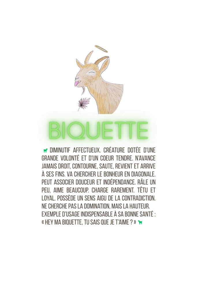 Biquette