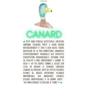 Canard