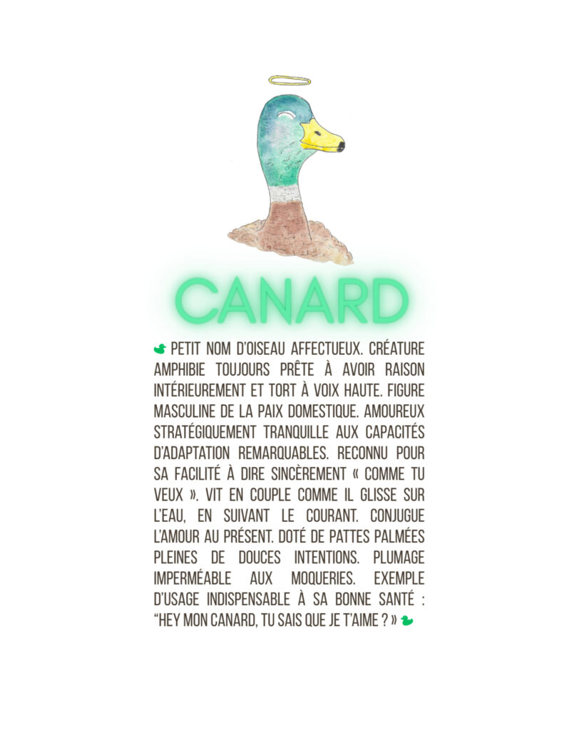 Canard