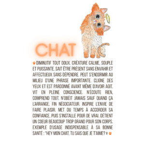 Chat
