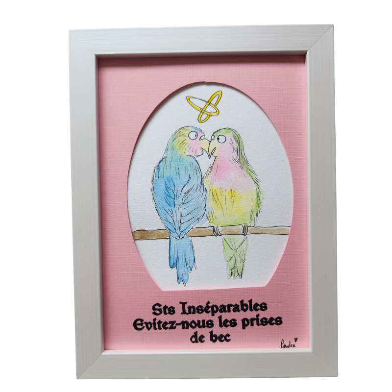 Sts Inséparables : Evitez-nous les prises de bec