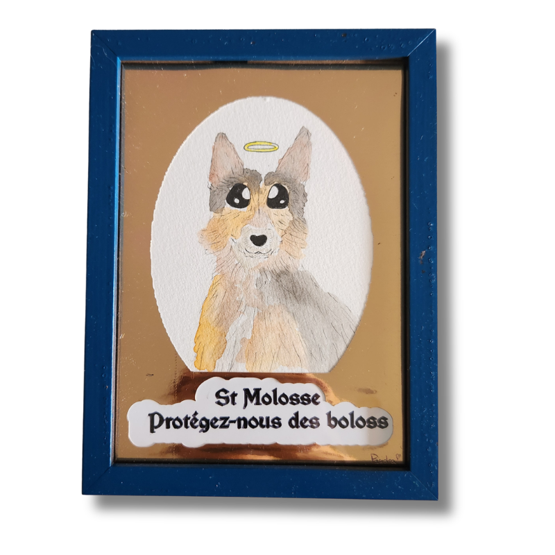 St Molosse : Eloignez-nous des boloss