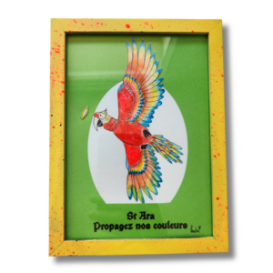 St Ara : Propagez nos couleurs
