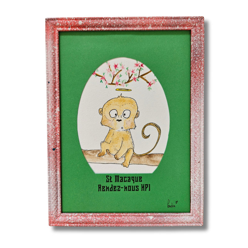 St Macaque : Rendez-nous HPI