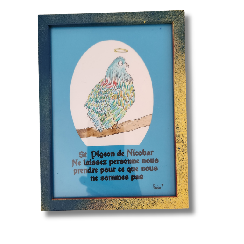 St Pigeon de Nicobar : Ne laissez personne nous prendre pour ce que nous ne sommes pas