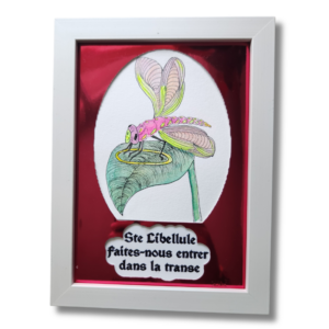 Ste Libellule : Faites-nous entrer dans la transe