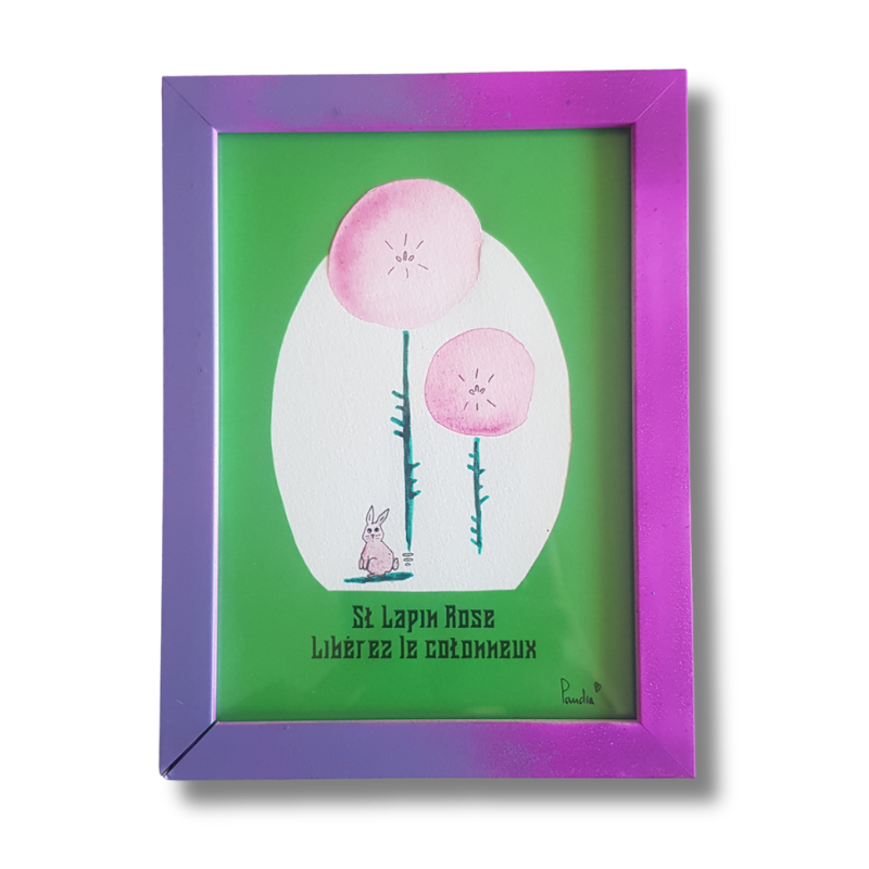 St Lapin Rose : Libérez le cotonneux